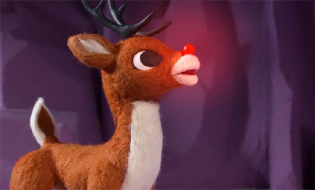 Rudolph The Twice-Exceptional Reindeer